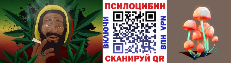 хочу   кракен ONION  Галлюциногенные грибы MAGIC MUSHROOMS  Ильский 